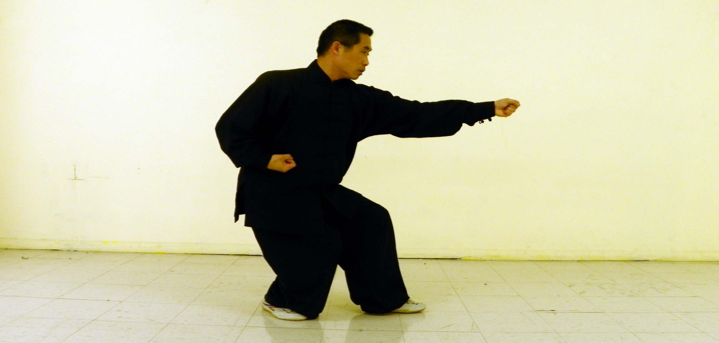 Hsing-I / Xing Yi aligned striking