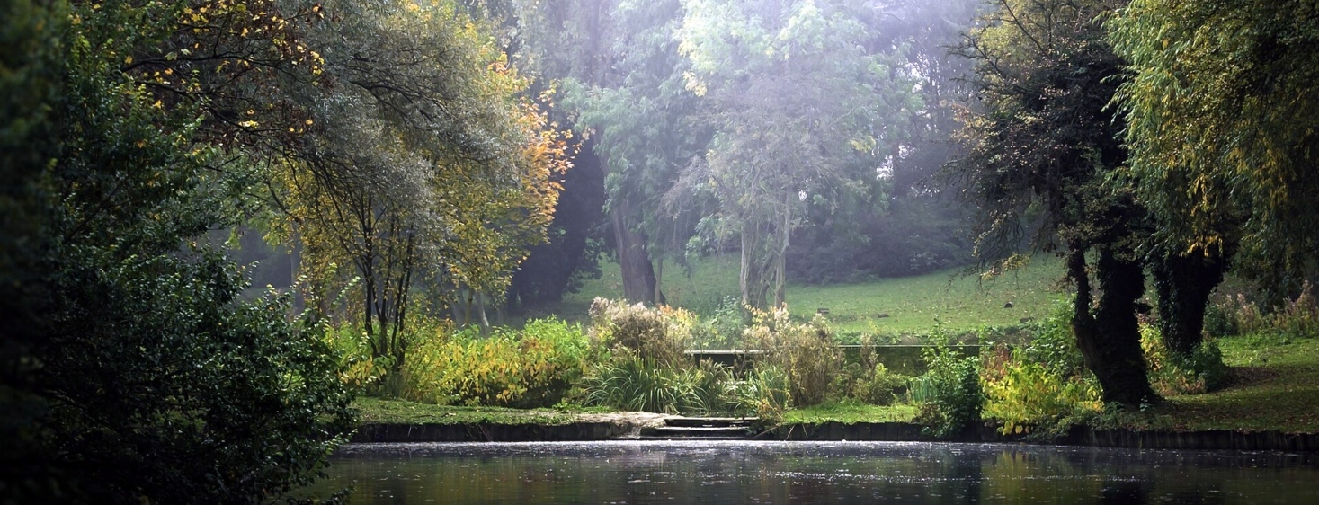 Internal arts in Essex: Tai Chi, Qigong, Ba Gua and Hsing-I