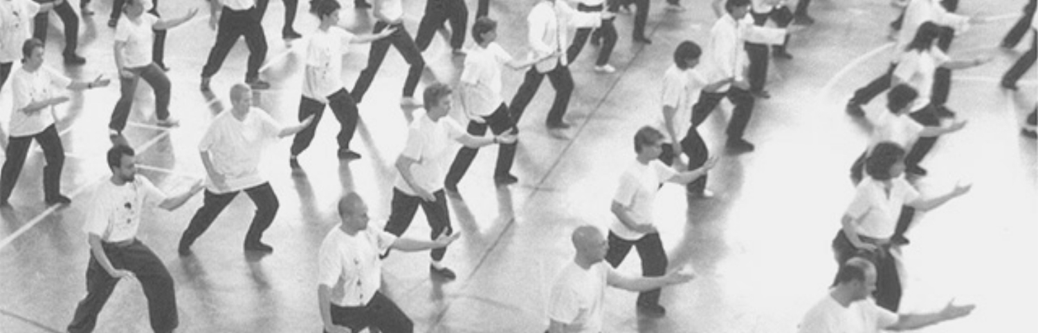 Tai Chi & Qigong events across the UK